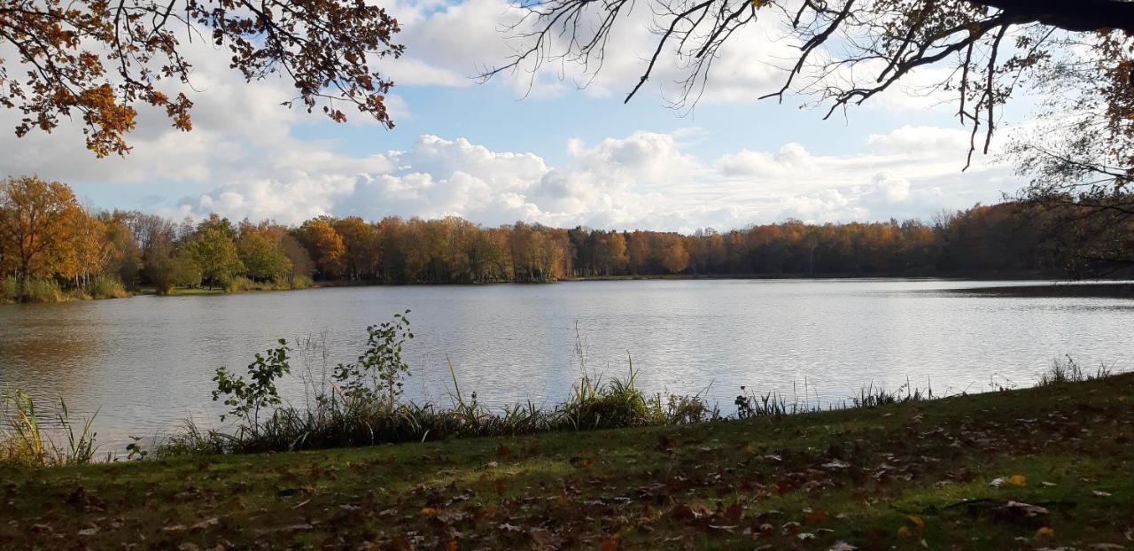 Zonnige Vrijstaande Bungalow In Prachtige Omgeving! Rekem Dış mekan fotoğraf