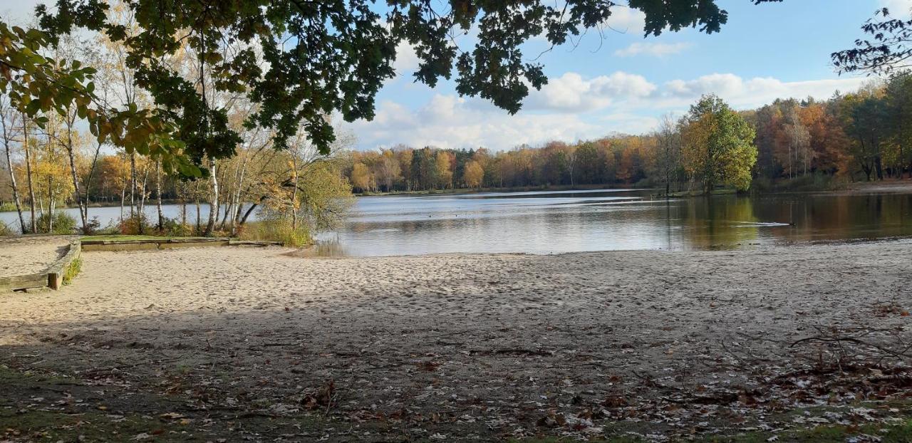 Zonnige Vrijstaande Bungalow In Prachtige Omgeving! Rekem Dış mekan fotoğraf