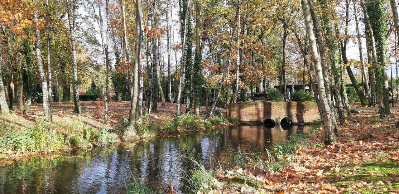 Zonnige Vrijstaande Bungalow In Prachtige Omgeving! Rekem Dış mekan fotoğraf